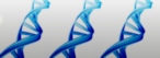 Life Science
